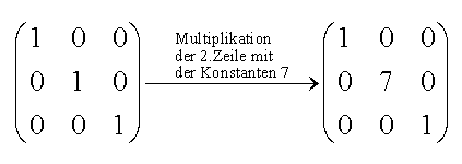 m05s10p1.pcx (8462 Byte)